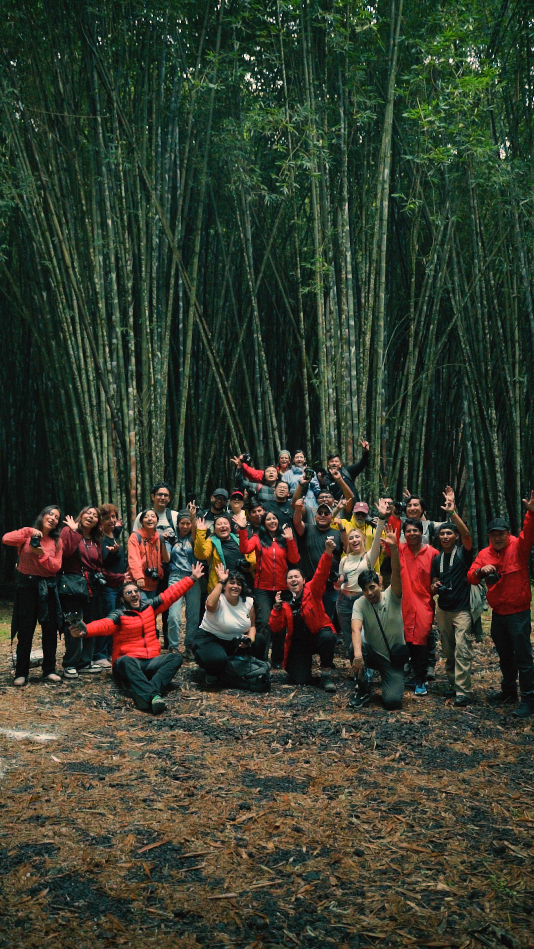 Comunidad graphers